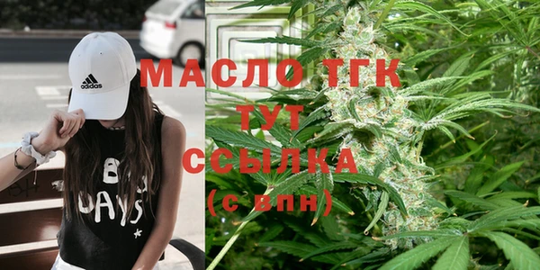ешки Бородино