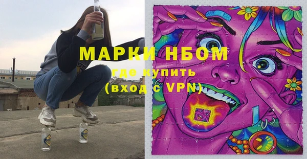 ешки Бородино