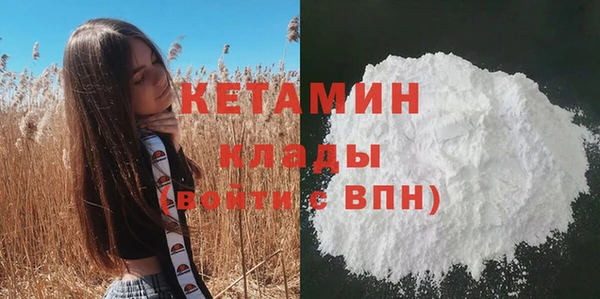 ешки Бородино