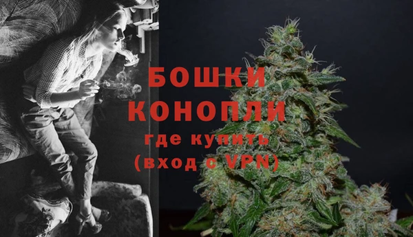 ешки Бородино