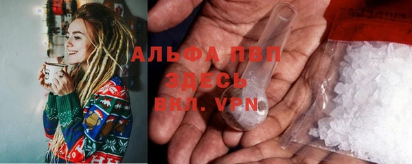 ешки Бородино