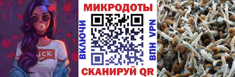 даркнет сайт  Коммунар  Галлюциногенные грибы Magic Shrooms 