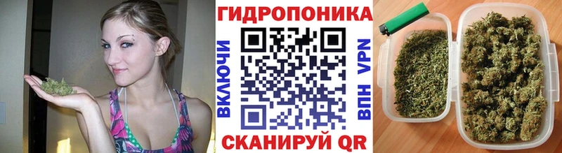 Бошки Шишки THC 21% Коммунар